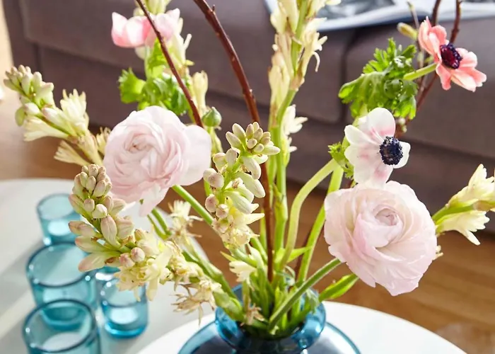 アパート Miss Evans